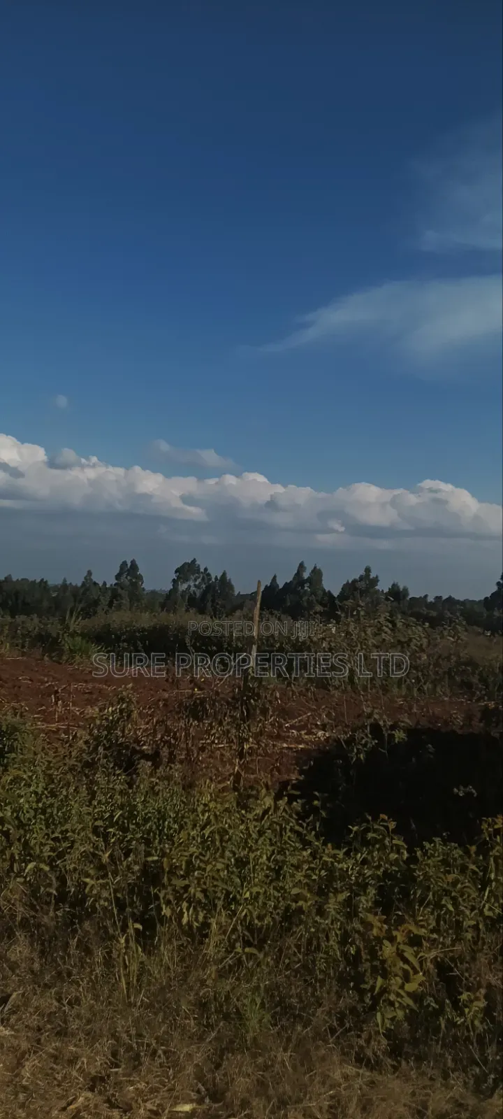 Thogio Kamangu in Karai