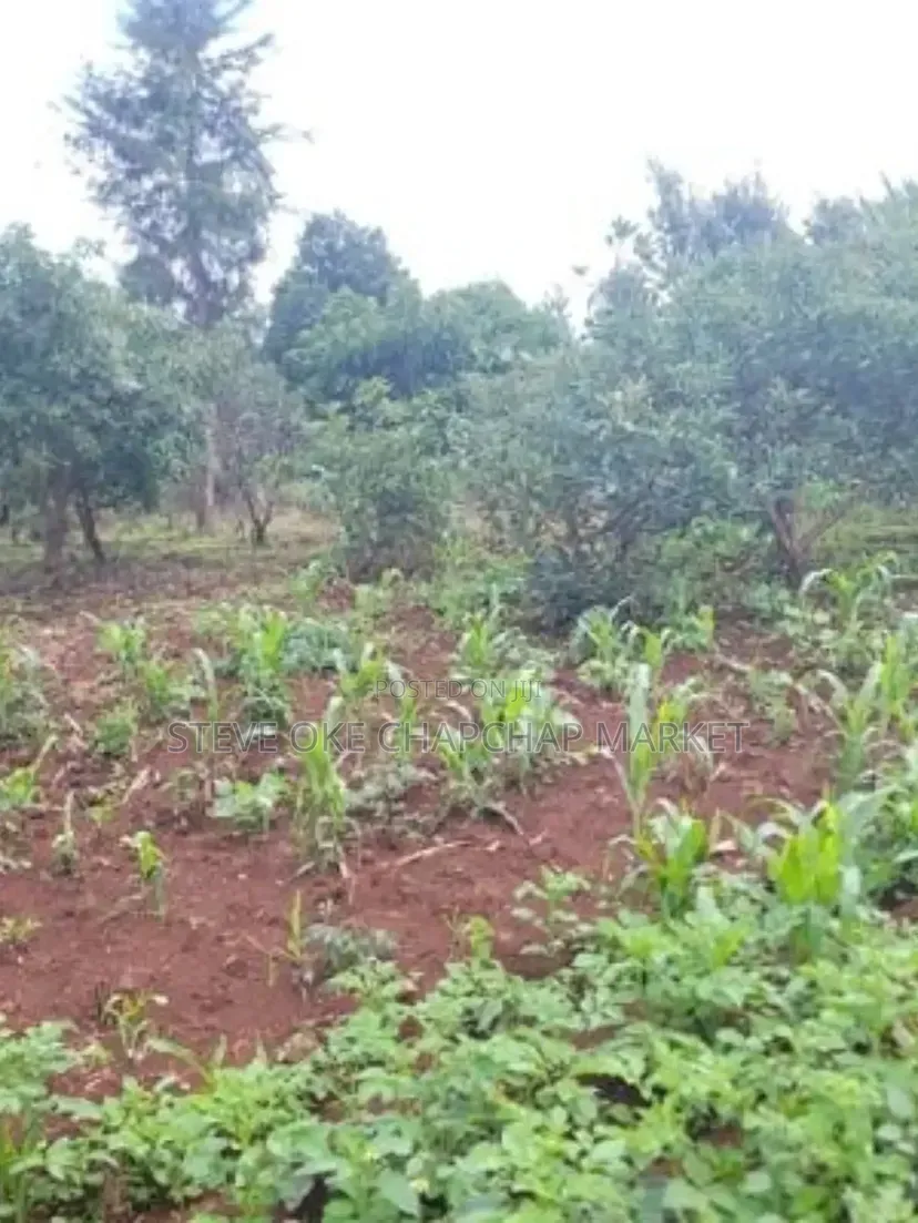 Ready Title Deed Prime 40×80 Plots for Sale in Ndenderu Next to Road in Ndenderu