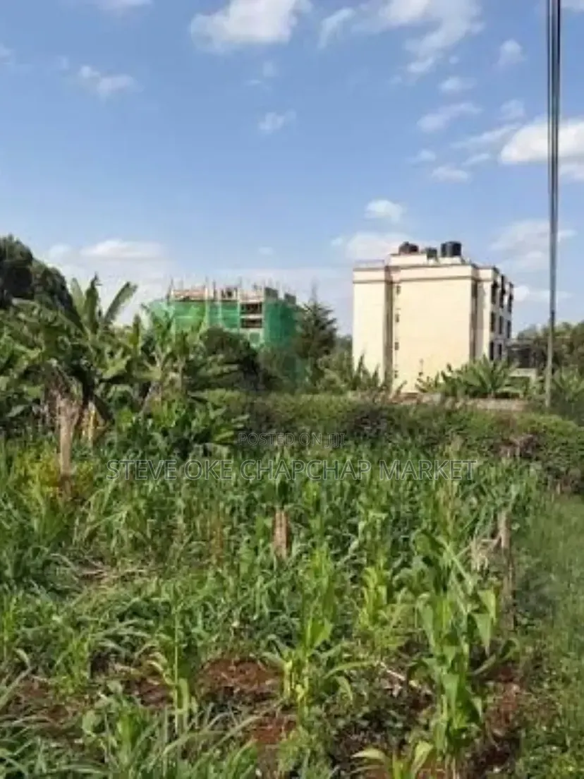 Ready Title Deed Prime 40×80 Plots for Sale in Ndenderu Next to Road in Ndenderu