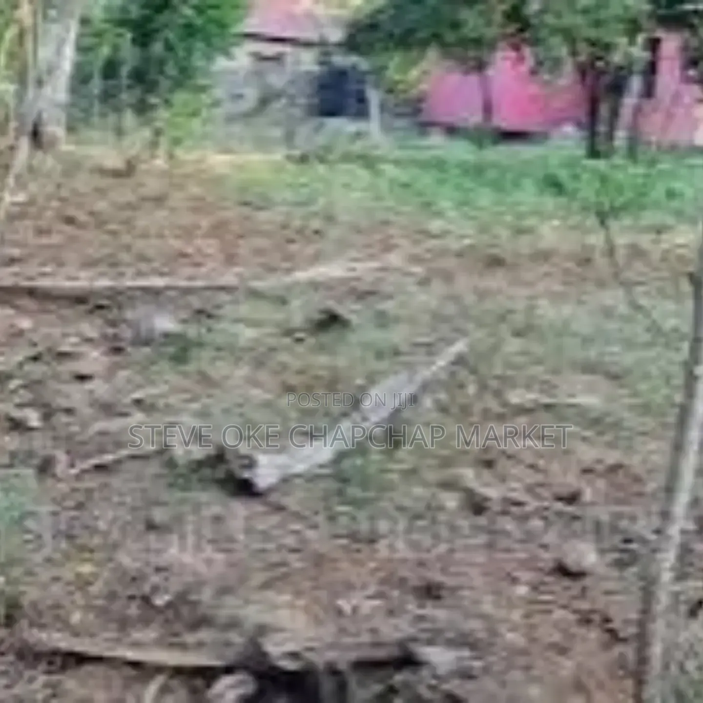 Ready Title Deed Prime 2-Acre Land for Sale in Majengo Kanamai! in Kilifi Town