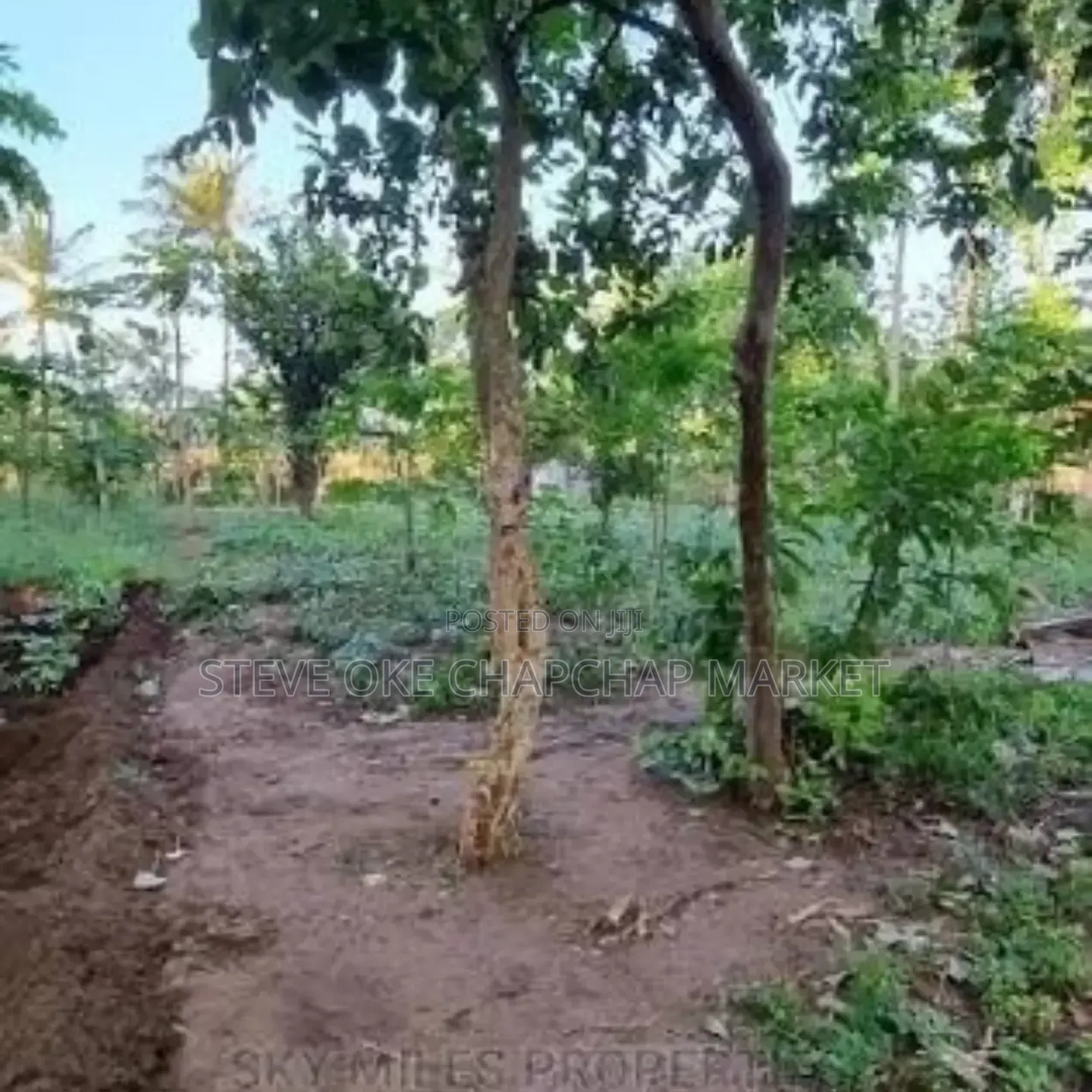 Ready Title Deed Prime 2-Acre Land for Sale in Majengo Kanamai! in Kilifi Town