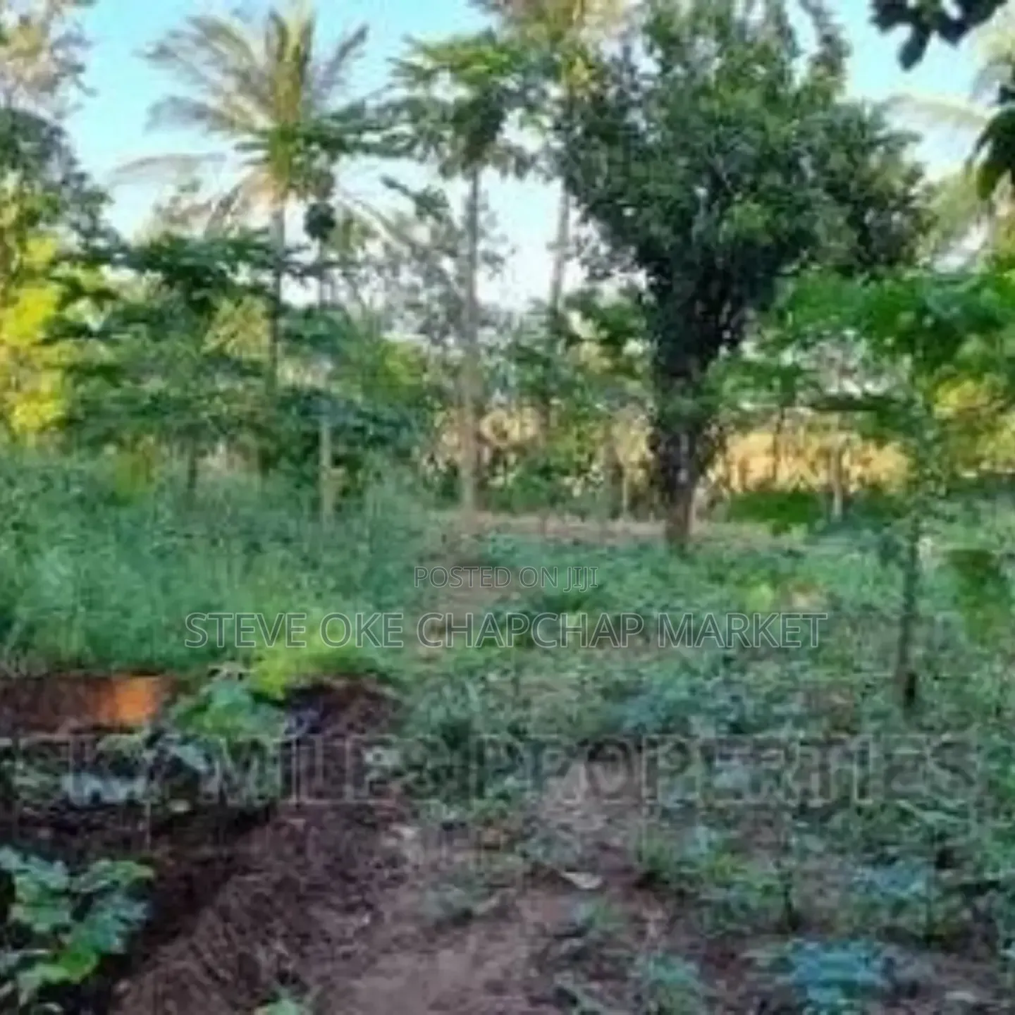 Ready Title Deed Prime 2-Acre Land for Sale in Majengo Kanamai! in Kilifi Town