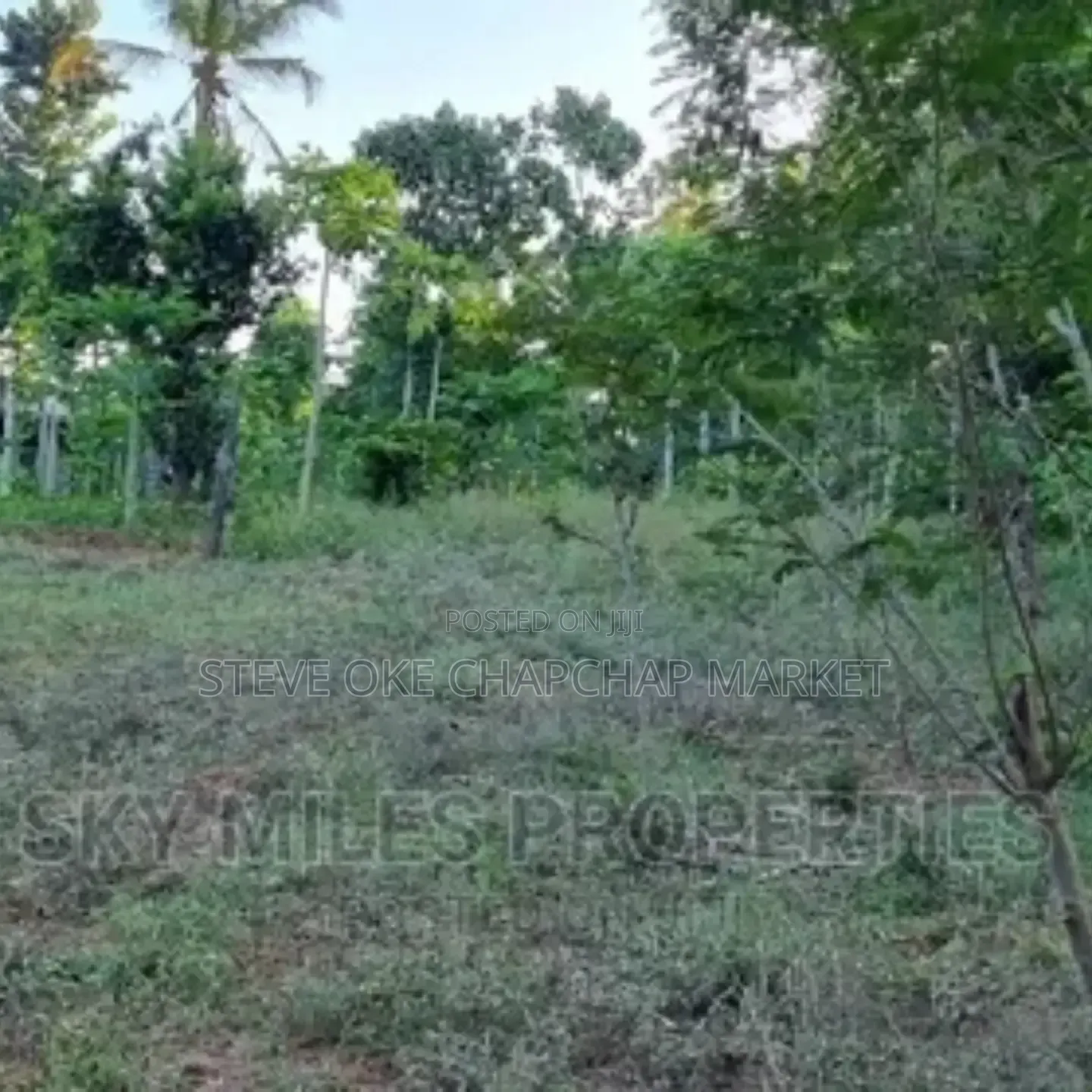 Ready Title Deed Prime 2-Acre Land for Sale in Majengo Kanamai! in Kilifi Town
