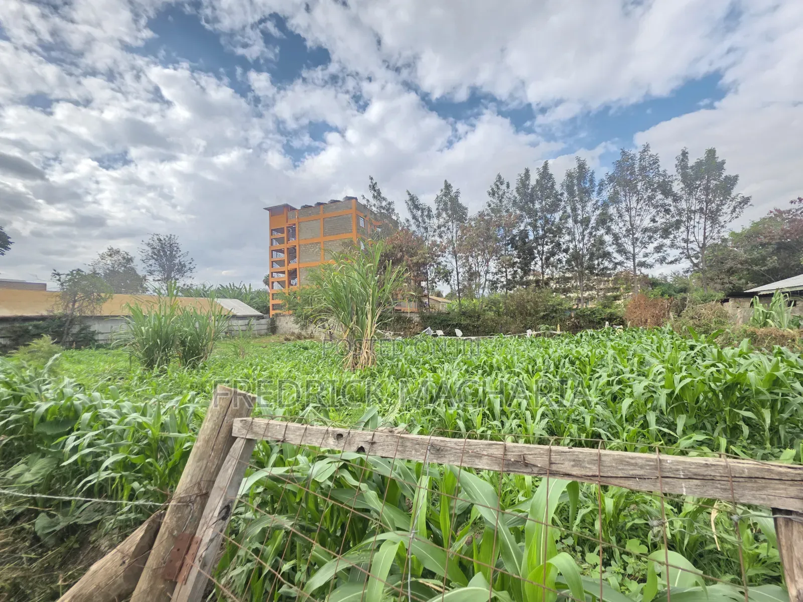 Quarter Acre Residential Plot for Sale at Juja in Gachororo