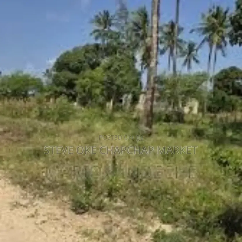 Ready Title Deed  Prime 3-Acre Land for Sale in Tezo, Kilifi! Beach in Kilifi Town