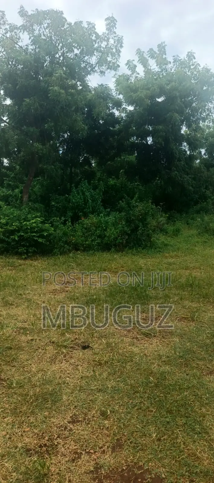 Prime 2 Acre - 2nd Row to Kikambala Beach in Mtwapa