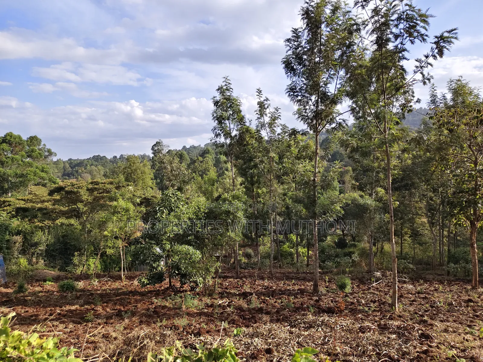 1 Acre of Land for Sale in Upper Matasia, Ngong in Matasia