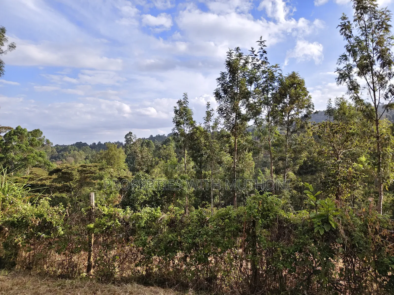 1 Acre of Land for Sale in Upper Matasia, Ngong in Matasia