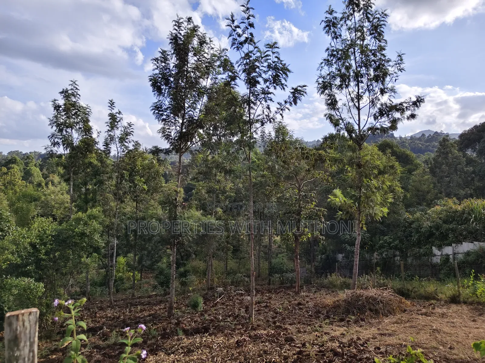1 Acre of Land for Sale in Upper Matasia, Ngong in Matasia