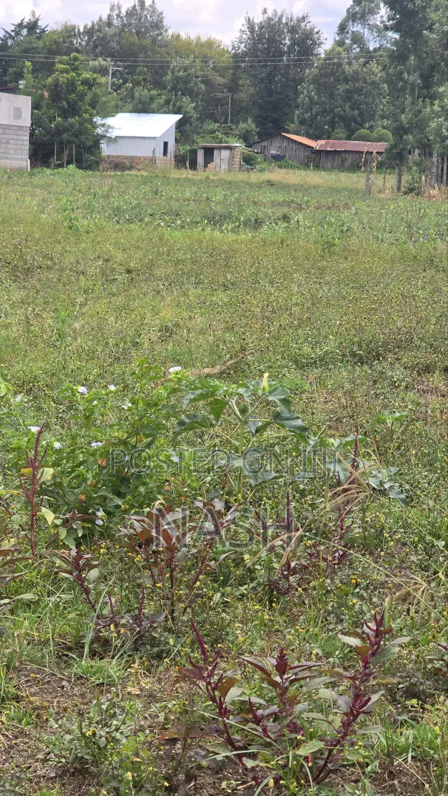 50 X 100 Plots at Mastoo, Mang'u Nakuru in Ngata