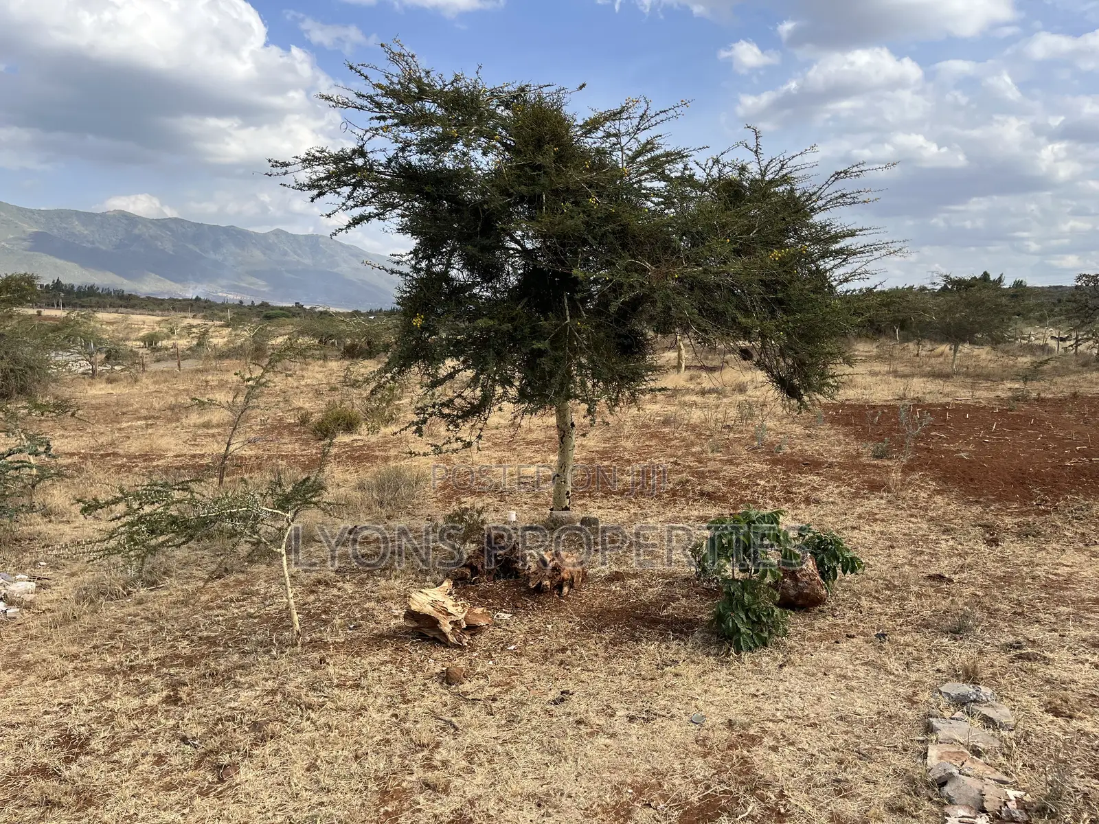 1/8 Acres Land for Sale in Kimuka in Kibiku