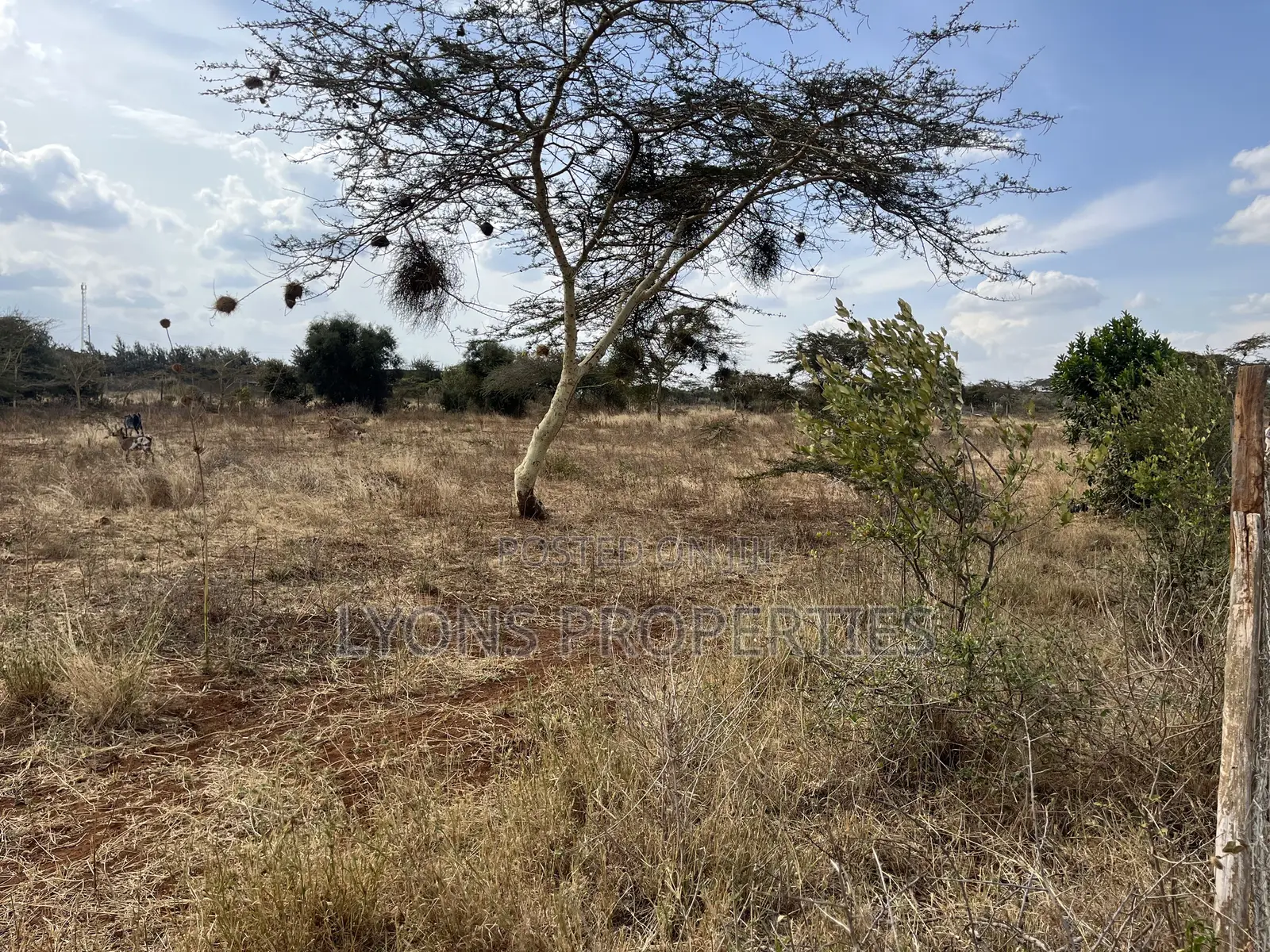 1/8 Acres Land for Sale in Kimuka in Kibiku