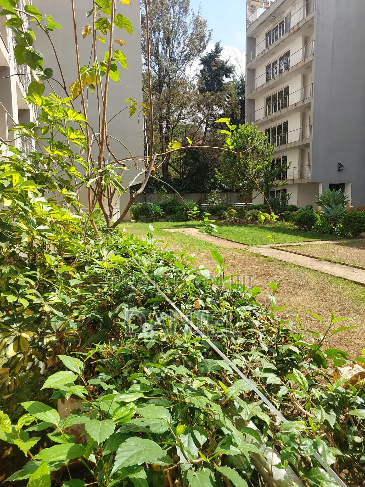 4bdrm Apartment in Valley Arcade for rent in Valley Arcade