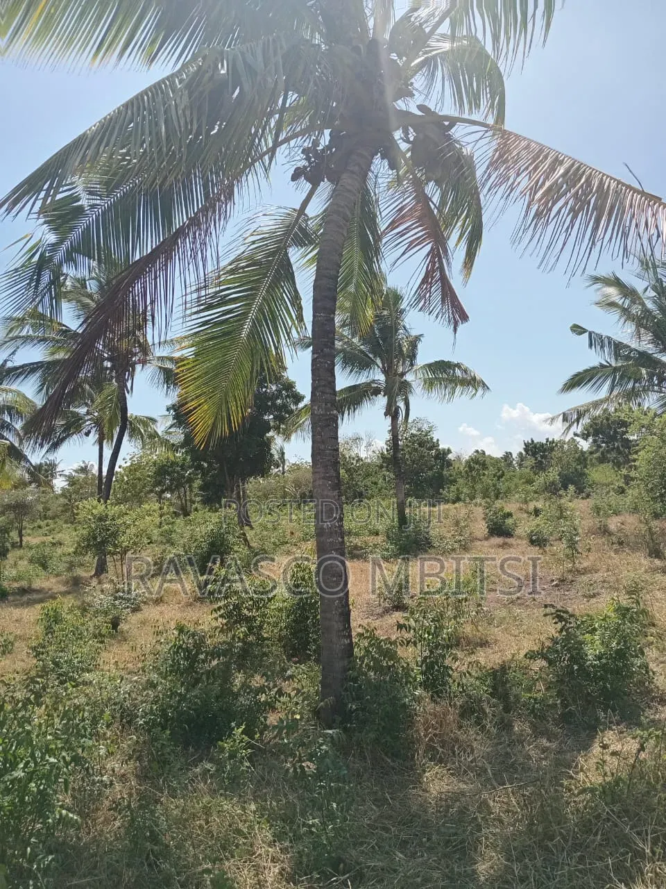 2 Acres Forsale in Kilifi Chumani Roka in Kilifi Town