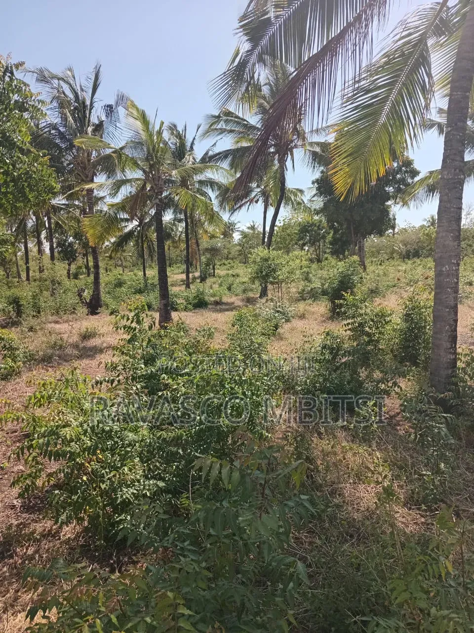 2 Acres Forsale in Kilifi Chumani Roka in Kilifi Town