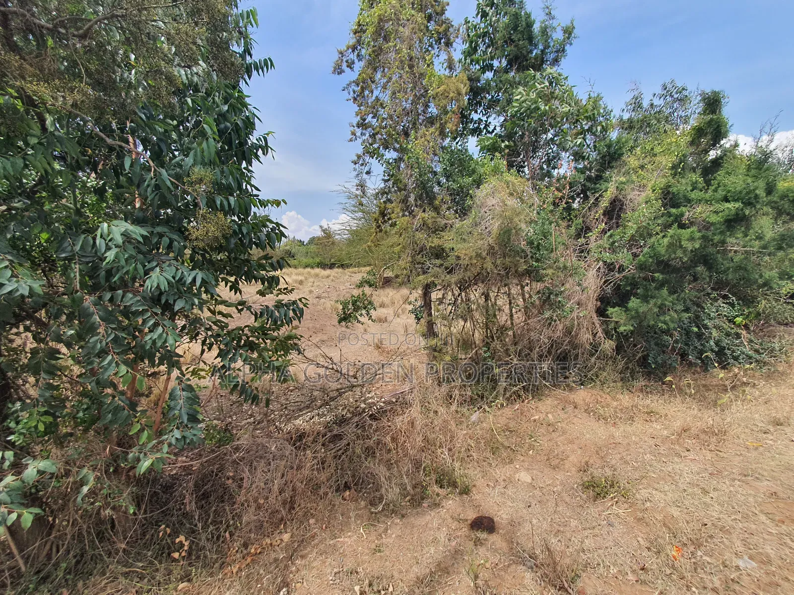 1 Acre Touching Tarmac [ Barguret ] in Nanyuki