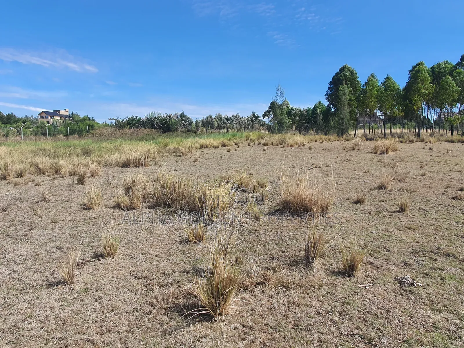 1 Acre Touching Tarmac [ Barguret ] in Nanyuki