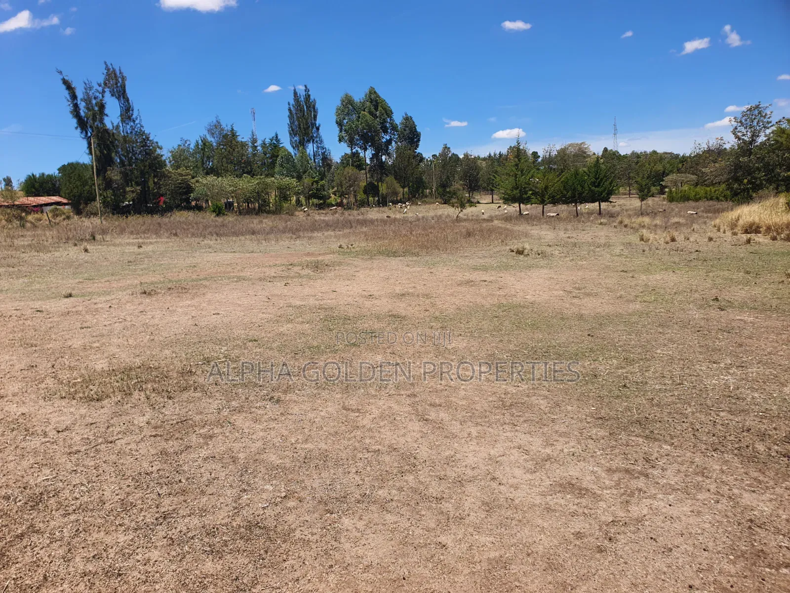 2 Acres Near Nanyuki Airstrip in Nanyuki