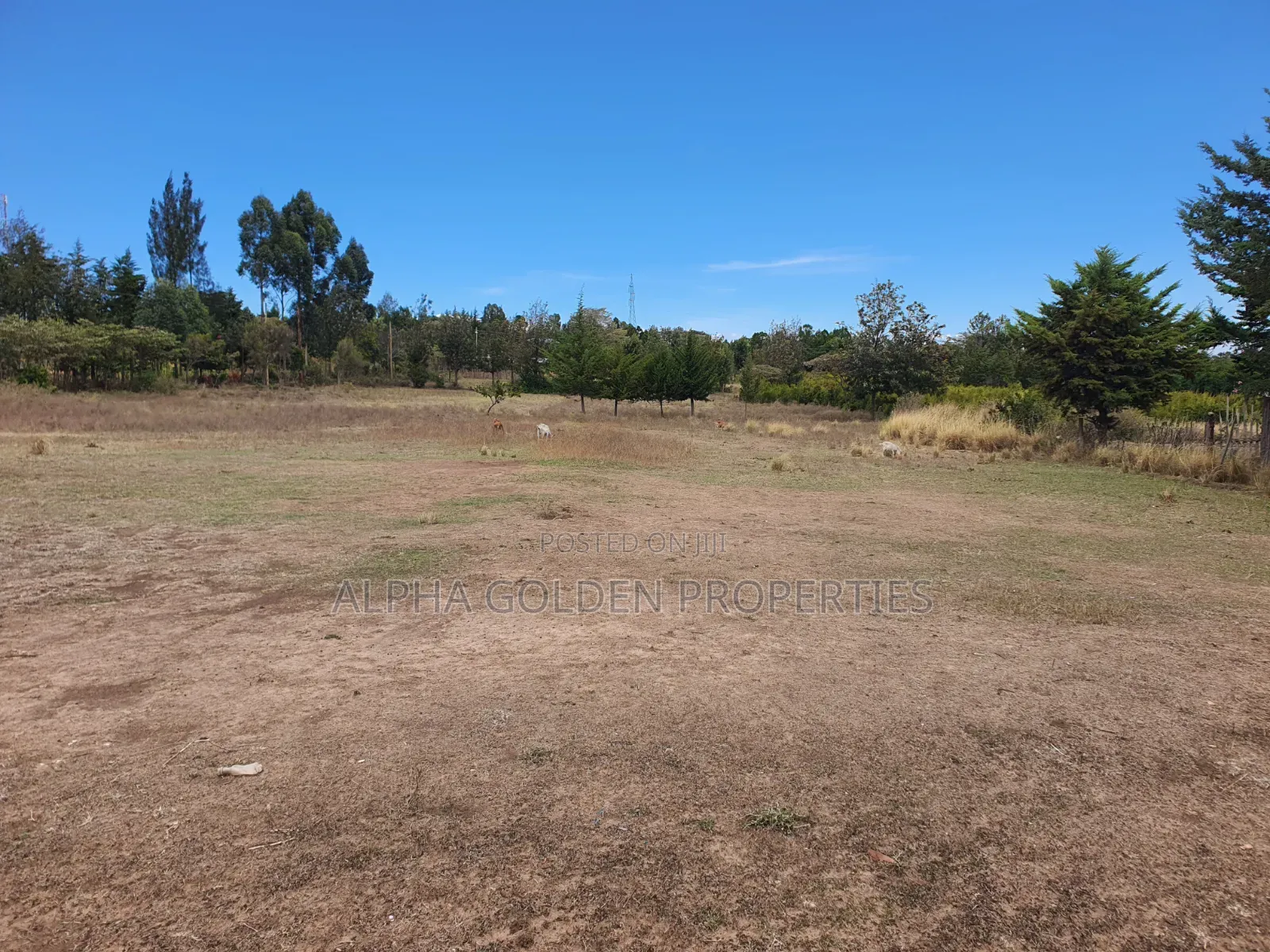 2 Acres Near Nanyuki Airstrip in Nanyuki