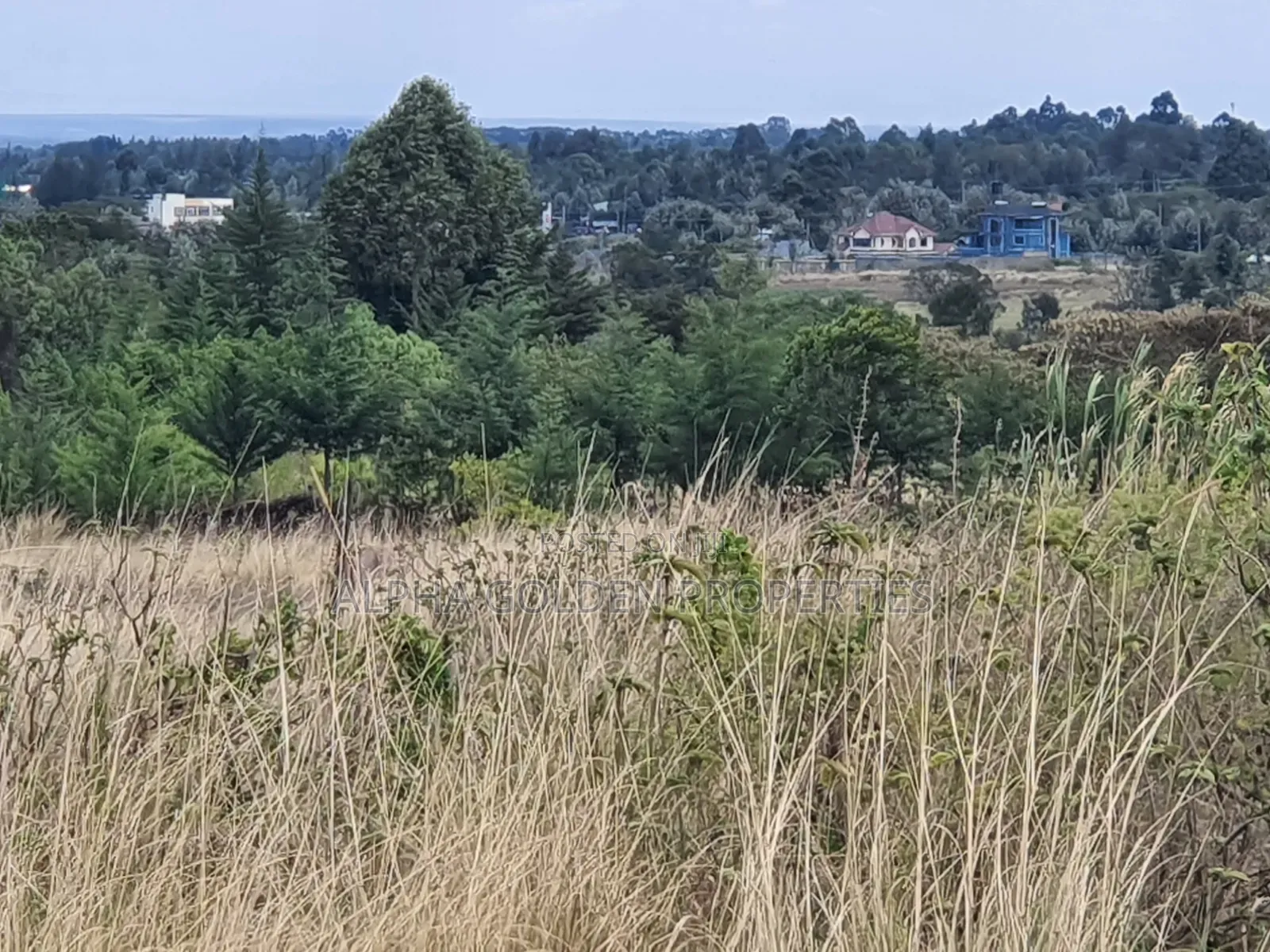 2 Acres Near Nanyuki Airstrip in Nanyuki