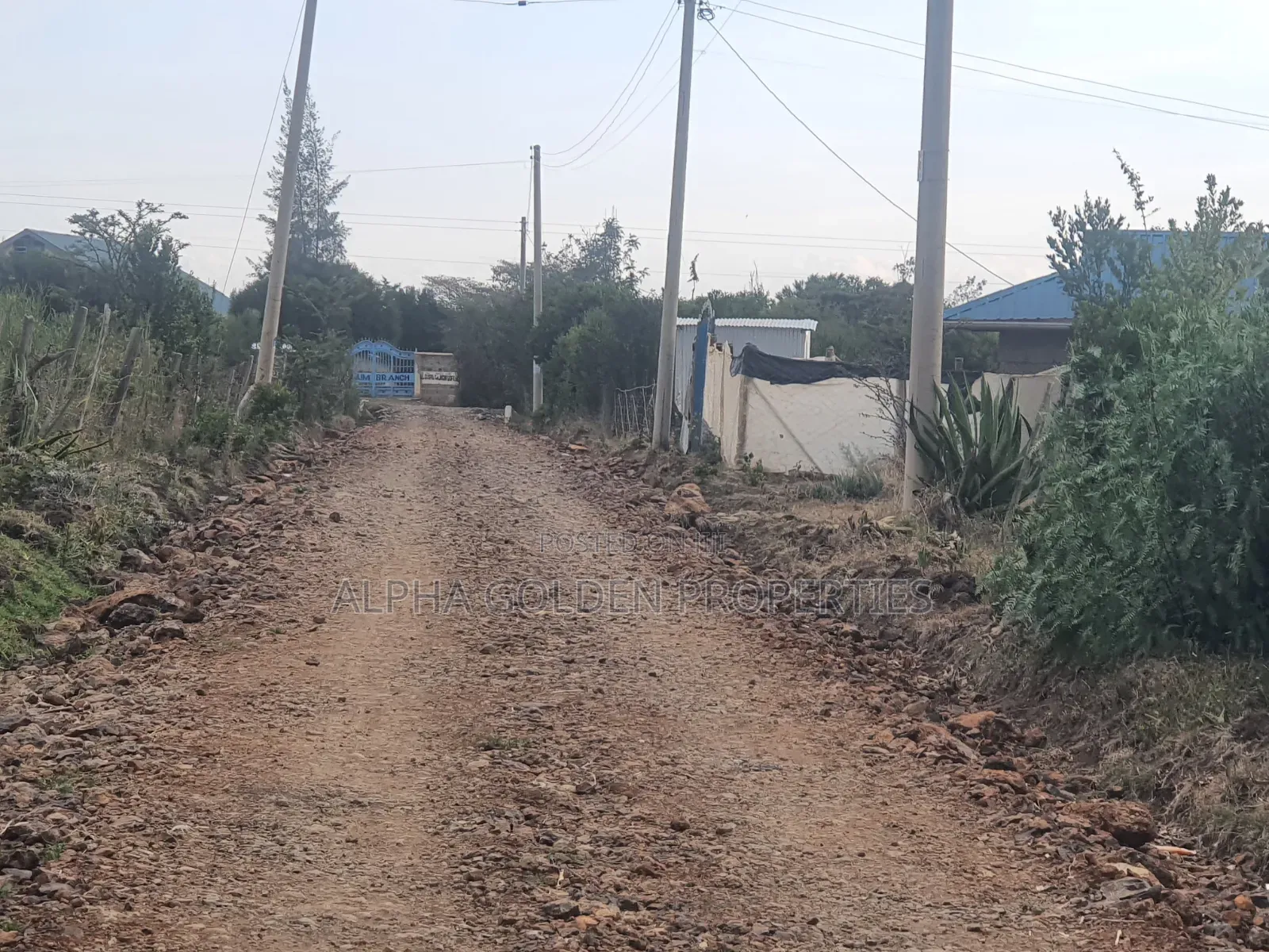 Plot in Ntrukuma in Nanyuki