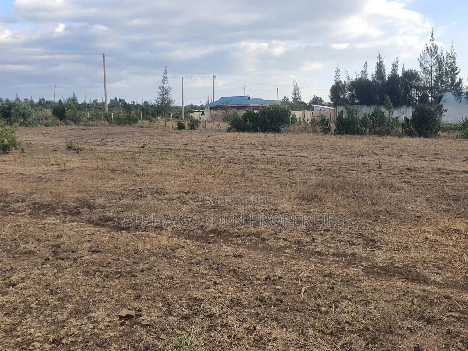 Plot in Ntrukuma in Nanyuki
