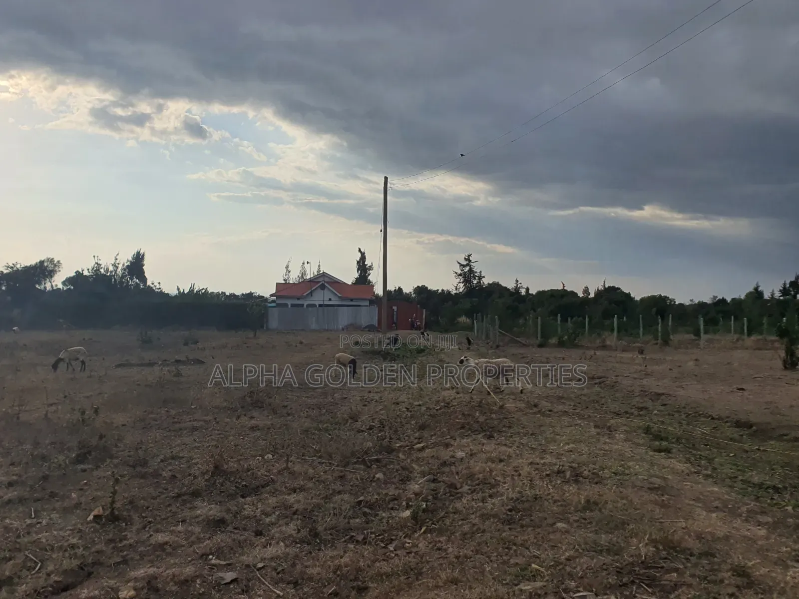 Plot in Ntrukuma in Nanyuki