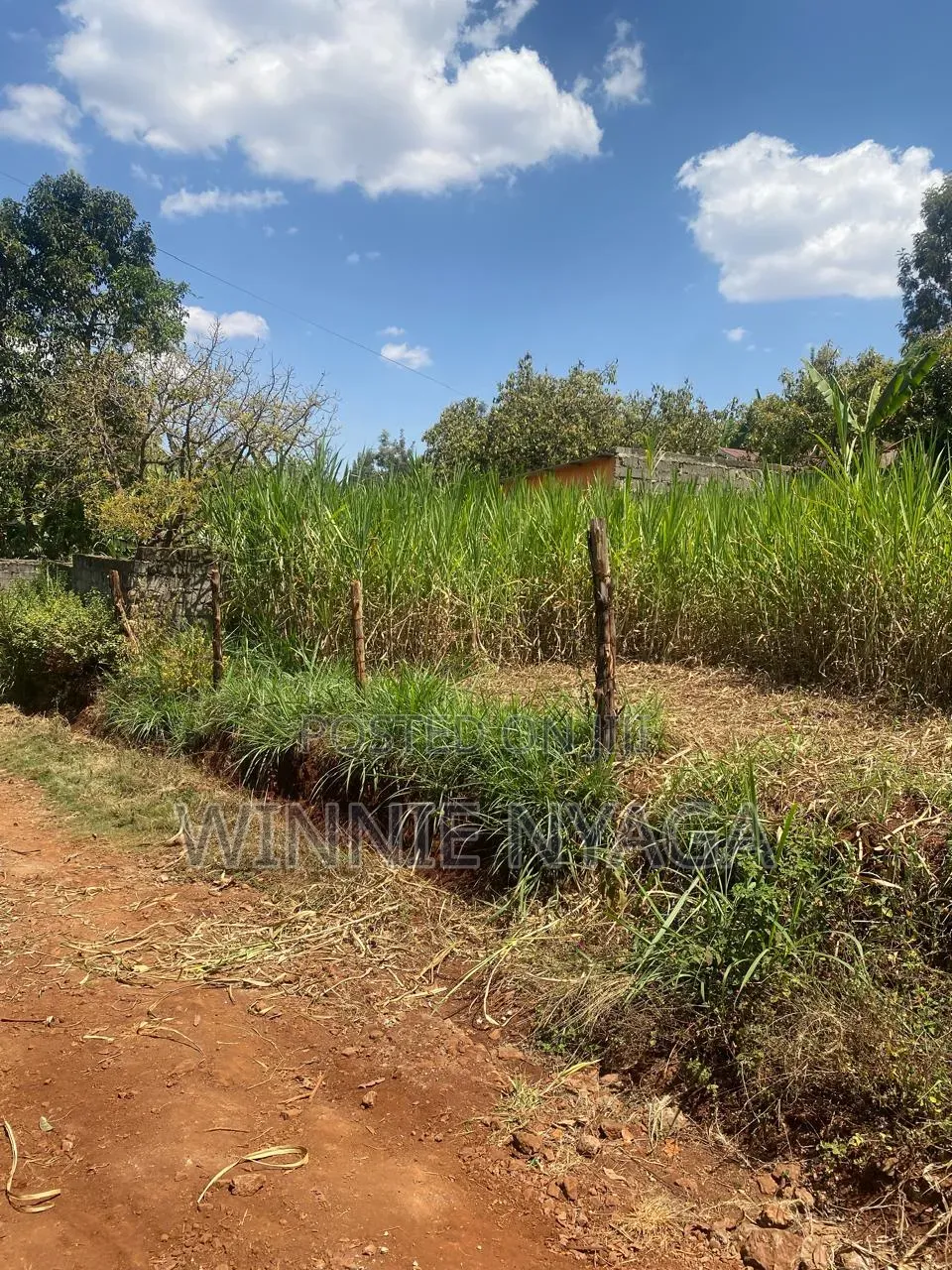 Land for Sale. 50×100 at Kenyatta Road, Juja (Gatundu Road). in Kenyatta Road / Theta 