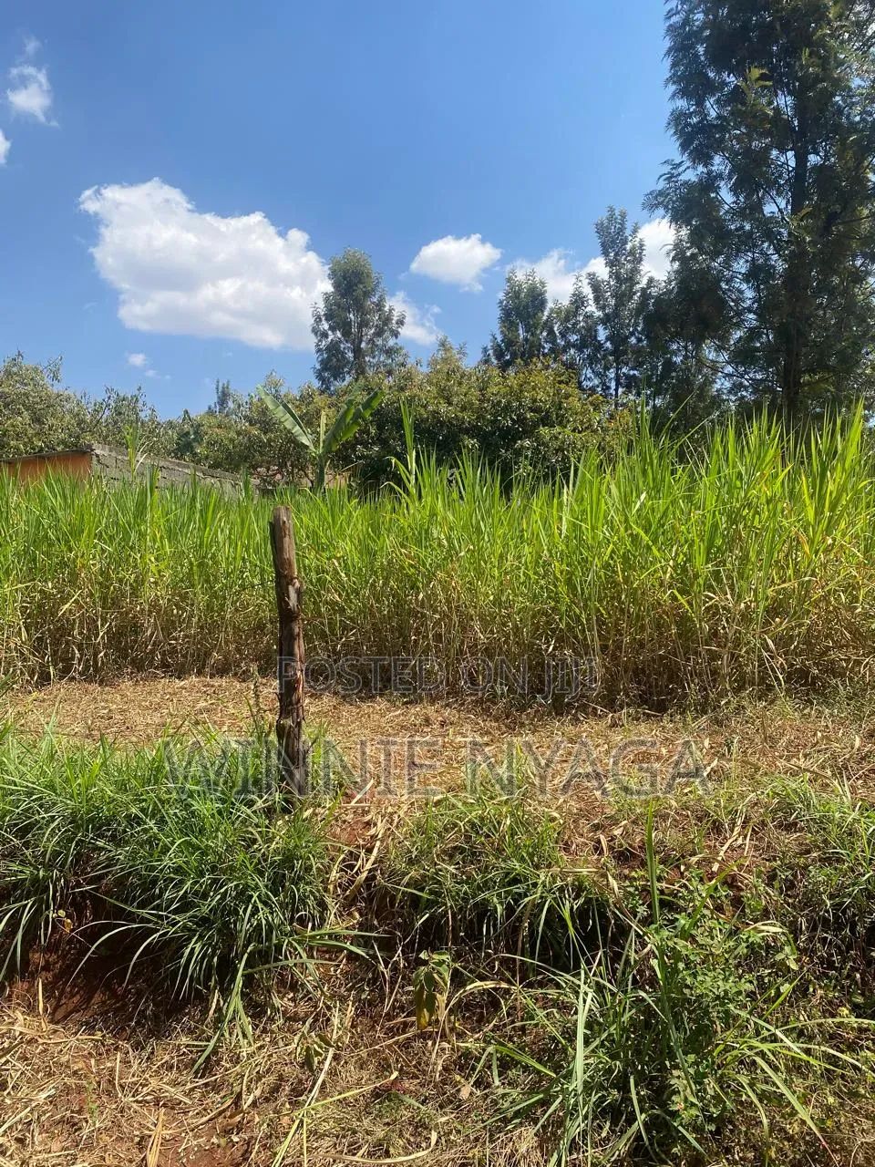 Land for Sale. 50×100 at Kenyatta Road, Juja (Gatundu Road). in Kenyatta Road / Theta 