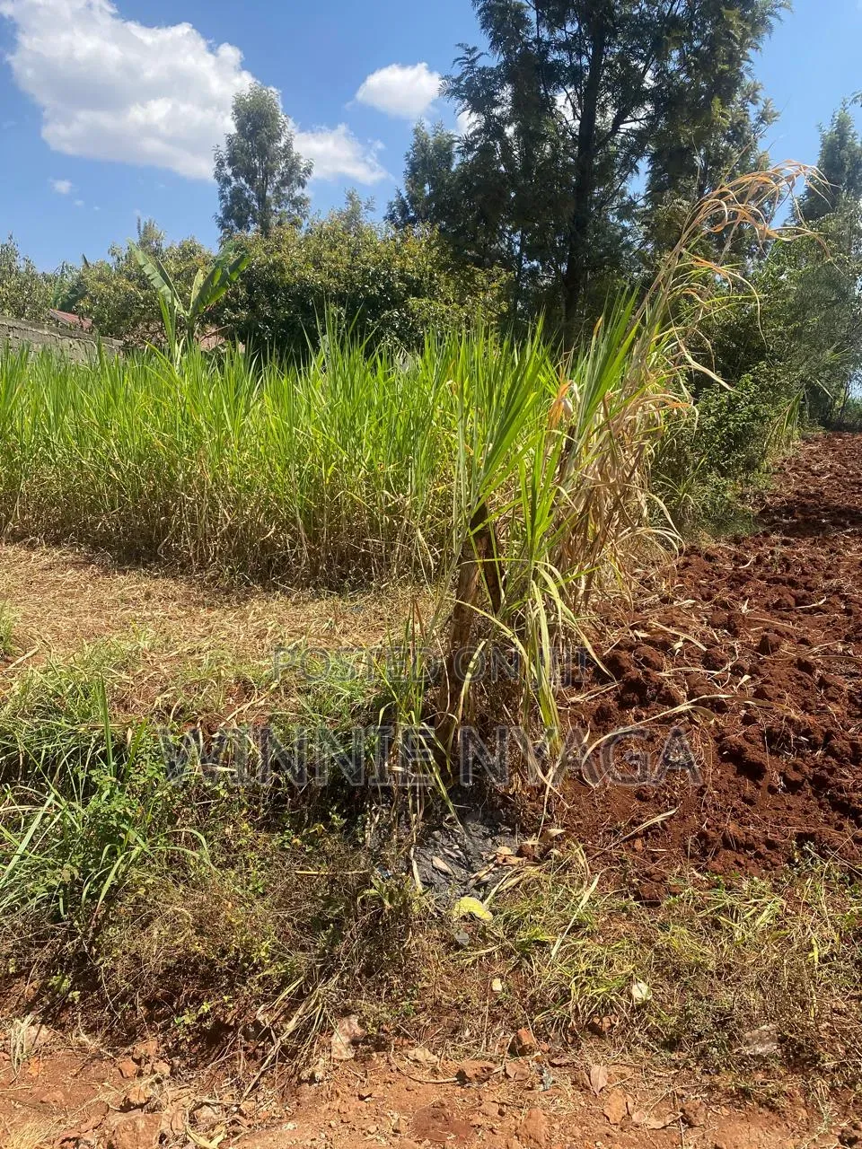 Land for Sale. 50×100 at Kenyatta Road, Juja (Gatundu Road). in Kenyatta Road / Theta 
