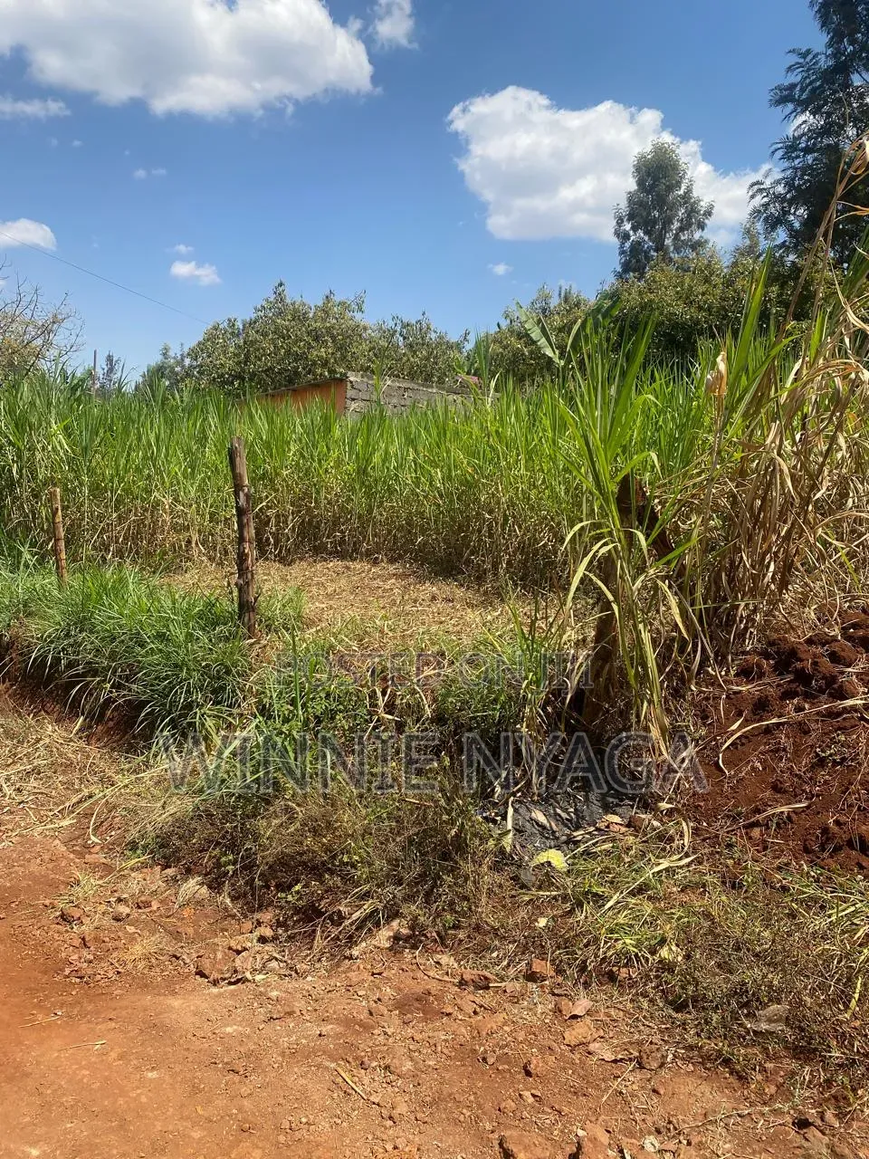 Land for Sale. 50×100 at Kenyatta Road, Juja (Gatundu Road). in Kenyatta Road / Theta 