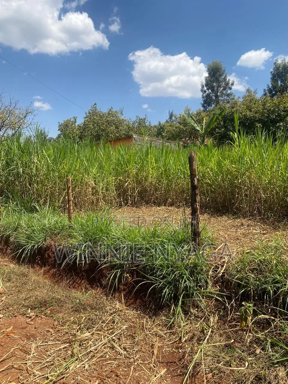 Land for Sale. 50×100 at Kenyatta Road, Juja (Gatundu Road). in Kenyatta Road / Theta 