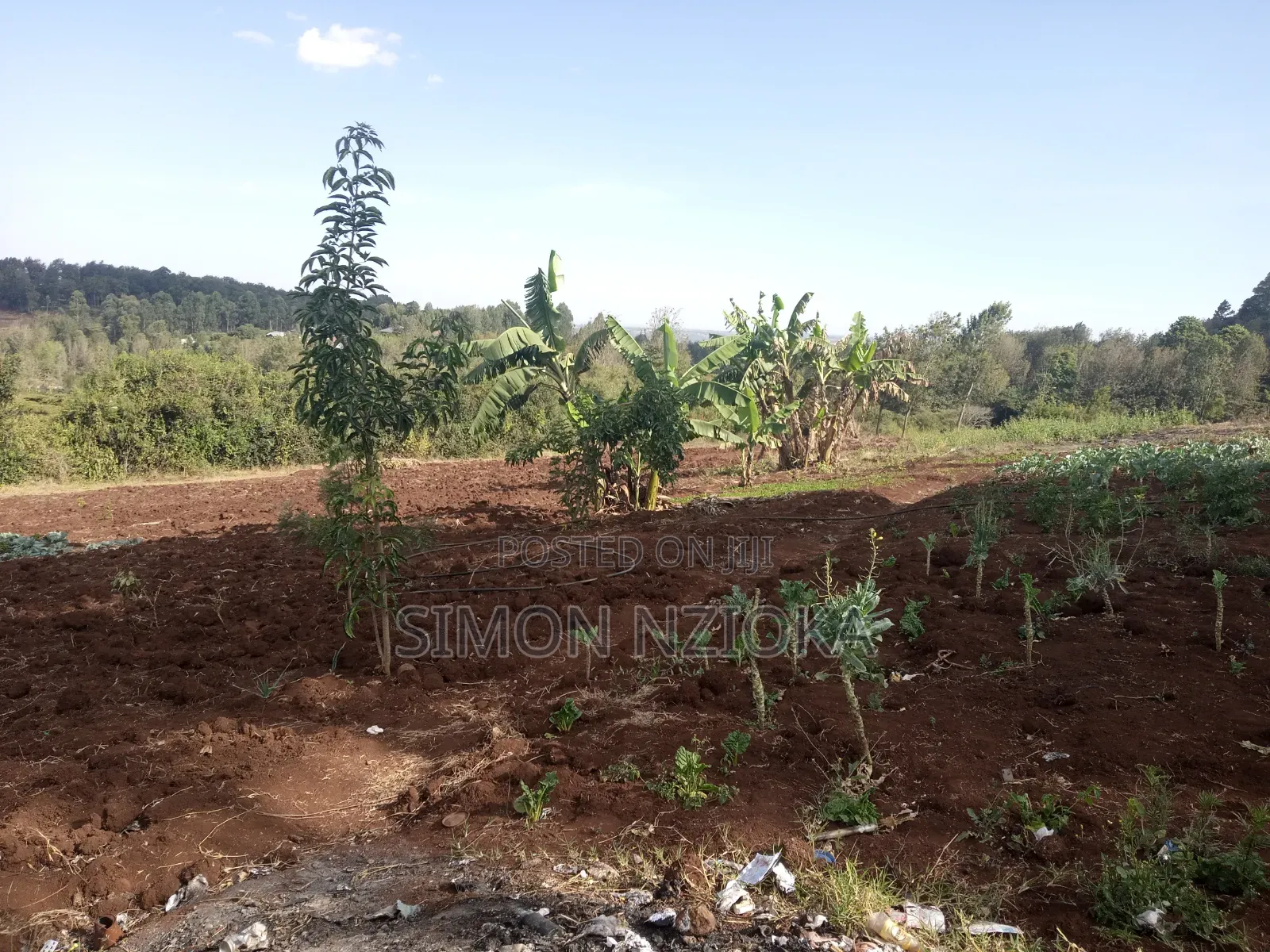 Prime Quarter an Acre for Sale in Ngong Matasia in Matasia