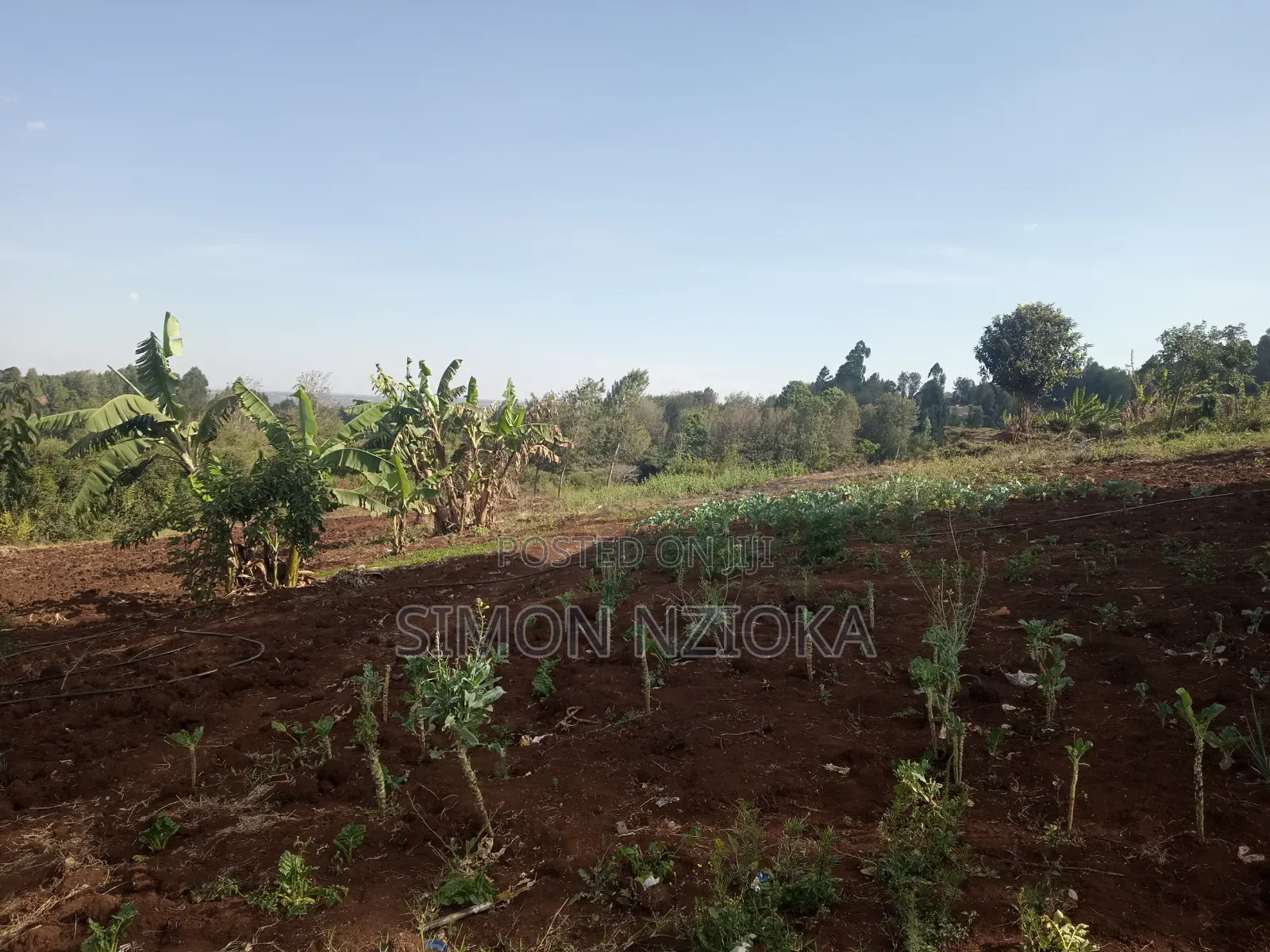 Prime Quarter an Acre for Sale in Ngong Matasia in Matasia