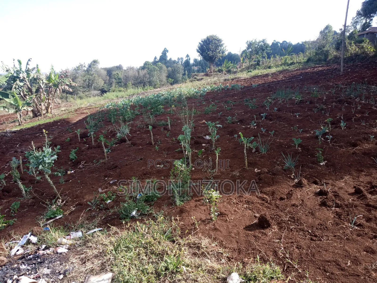 Prime Quarter an Acre for Sale in Ngong Matasia in Matasia