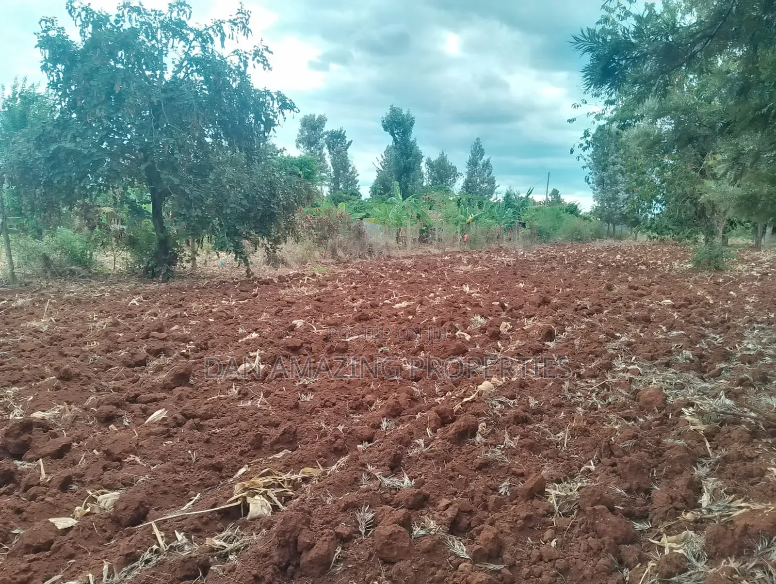 0.26 Hactares for Sale in Makutano Rukanga 500mts From the Main Tarmac in Makutano