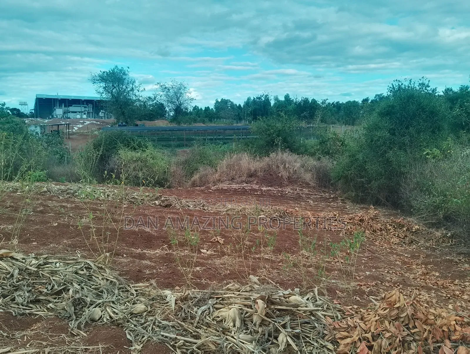 0.26 Hactares for Sale in Makutano Rukanga 500mts From the Main Tarmac in Makutano