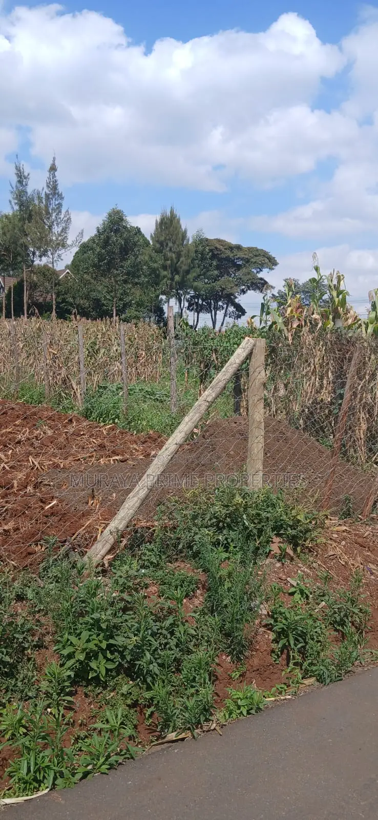 1/4-Acre Prime Plot for Sale – Kerarapon Drive in Kerarapon