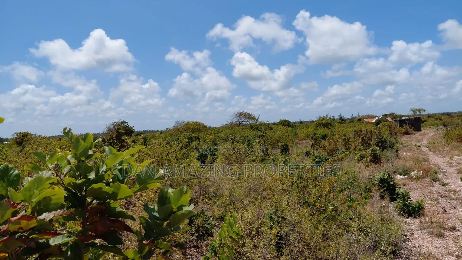 10 Acres Watamu Jacaranda for Sale 5 Mins Walk to the Beach in Watamu
