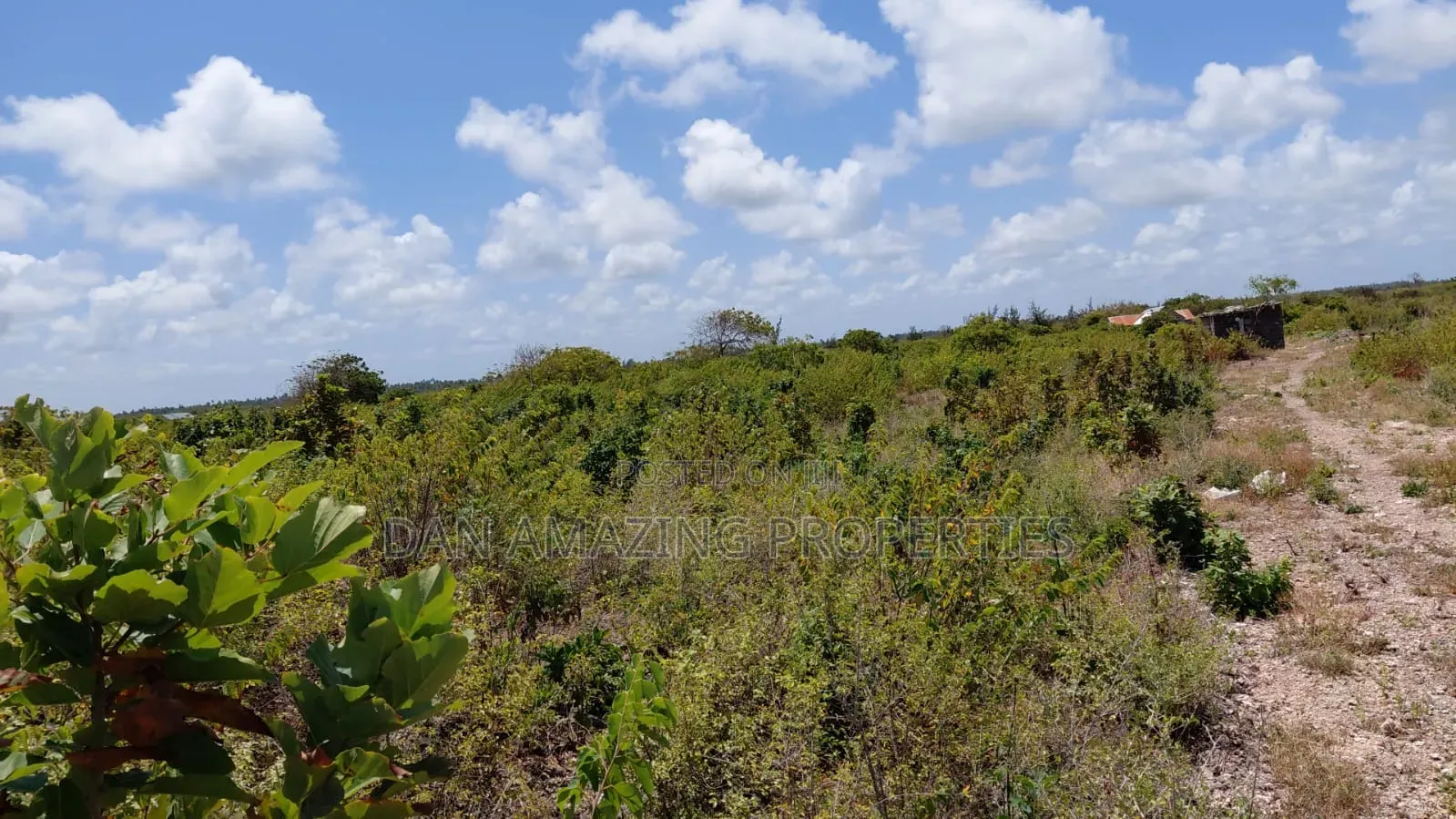 10 Acres Watamu Jacaranda for Sale 5 Mins Walk to the Beach in Watamu