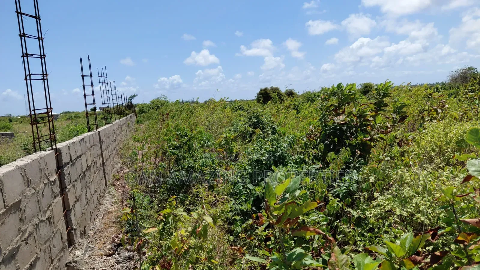 10 Acres Watamu Jacaranda for Sale 5 Mins Walk to the Beach in Watamu