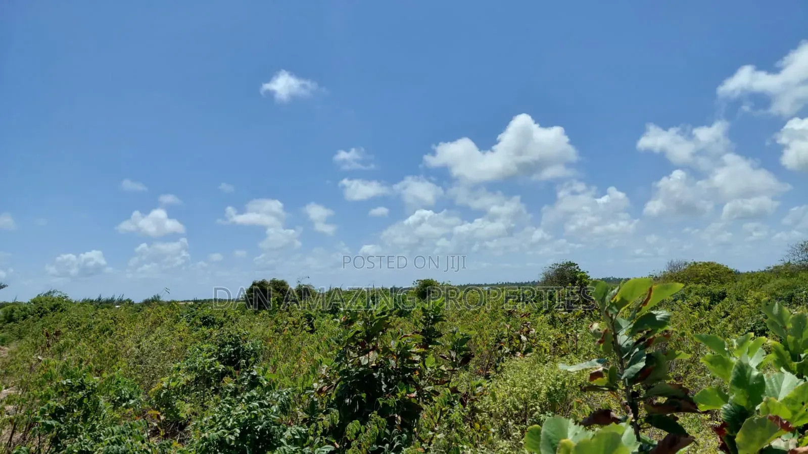 10 Acres Watamu Jacaranda for Sale 5 Mins Walk to the Beach in Watamu