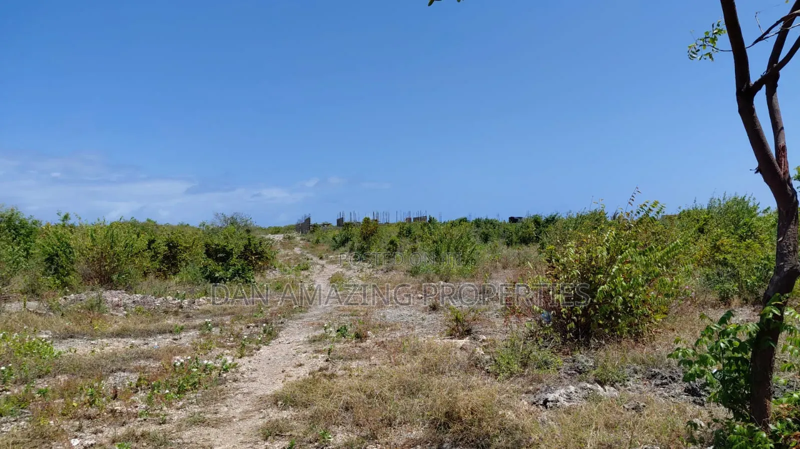 10 Acres Watamu Jacaranda for Sale 5 Mins Walk to the Beach in Watamu