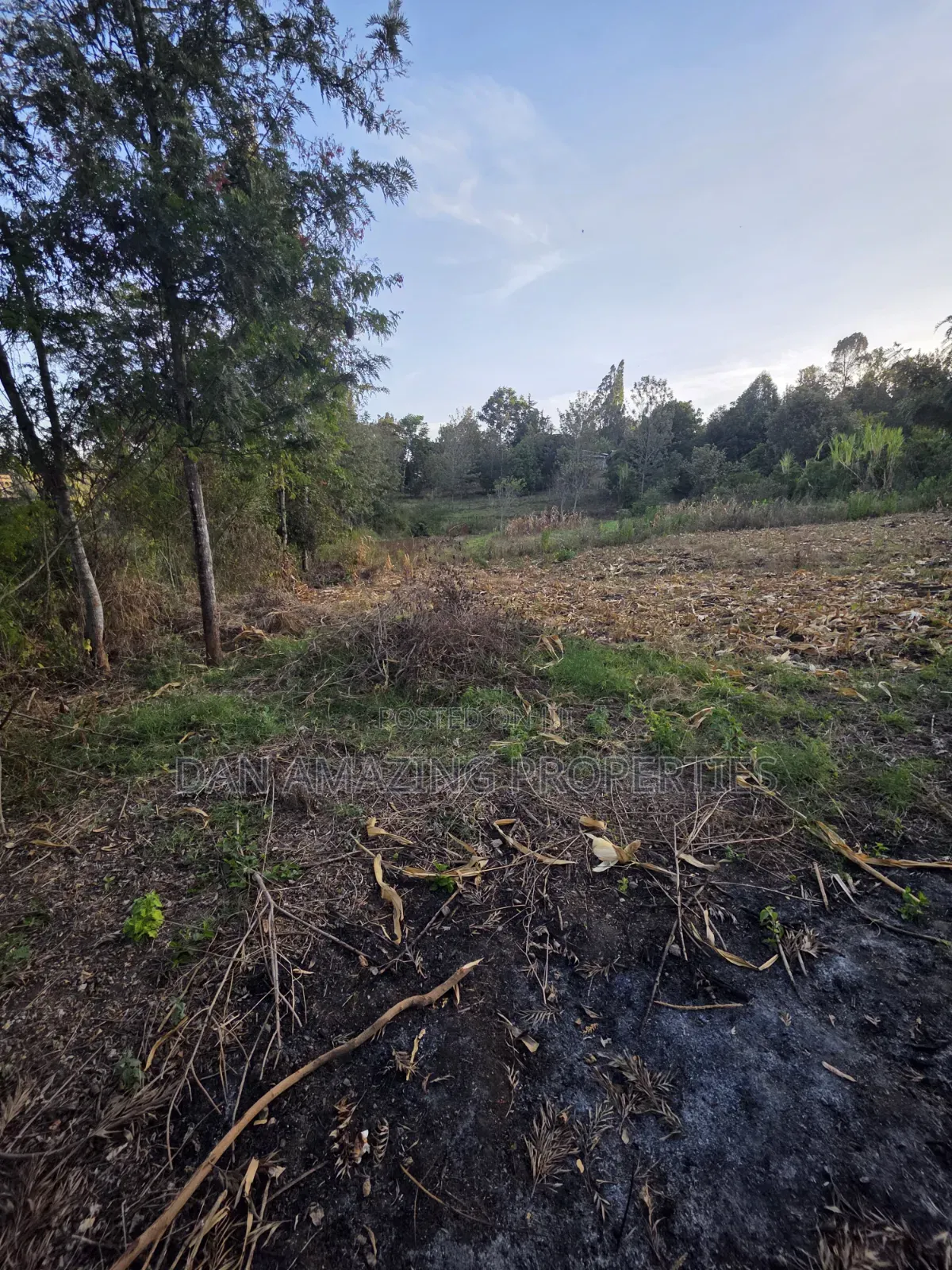 1/4 Acre Plot Ngong Olkeri for Sale Ideal for Residential Development in Ol Keri
