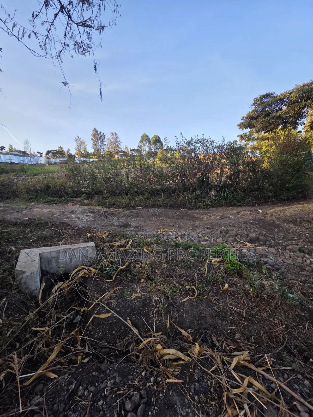 1/4 Acre Plot Ngong Olkeri for Sale Ideal for Residential Development in Ol Keri