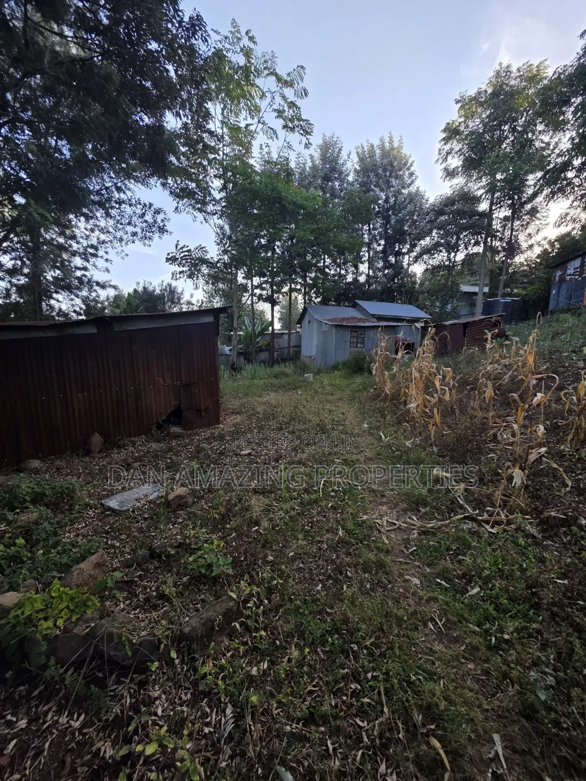 1 Acre Plot in Ngong Olkeri for Sale in Ol Keri