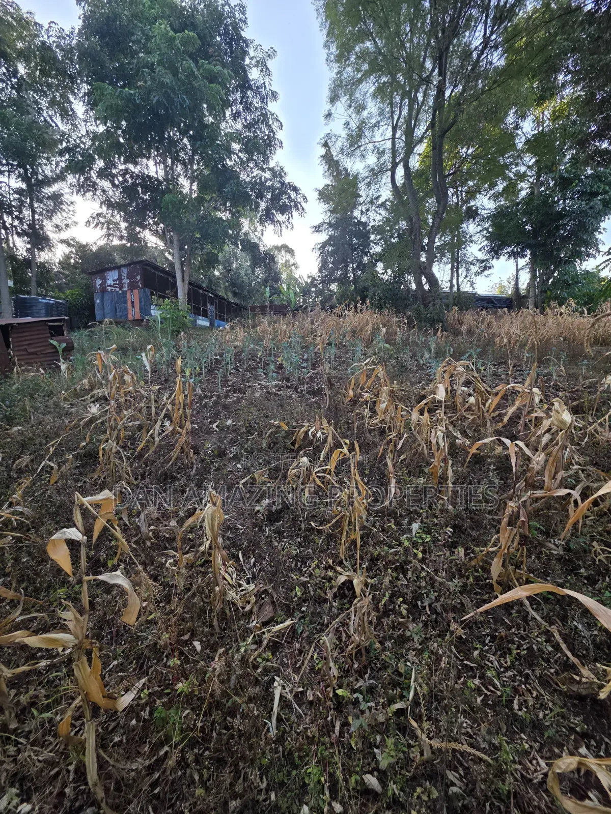 1 Acre Plot in Ngong Olkeri for Sale in Ol Keri