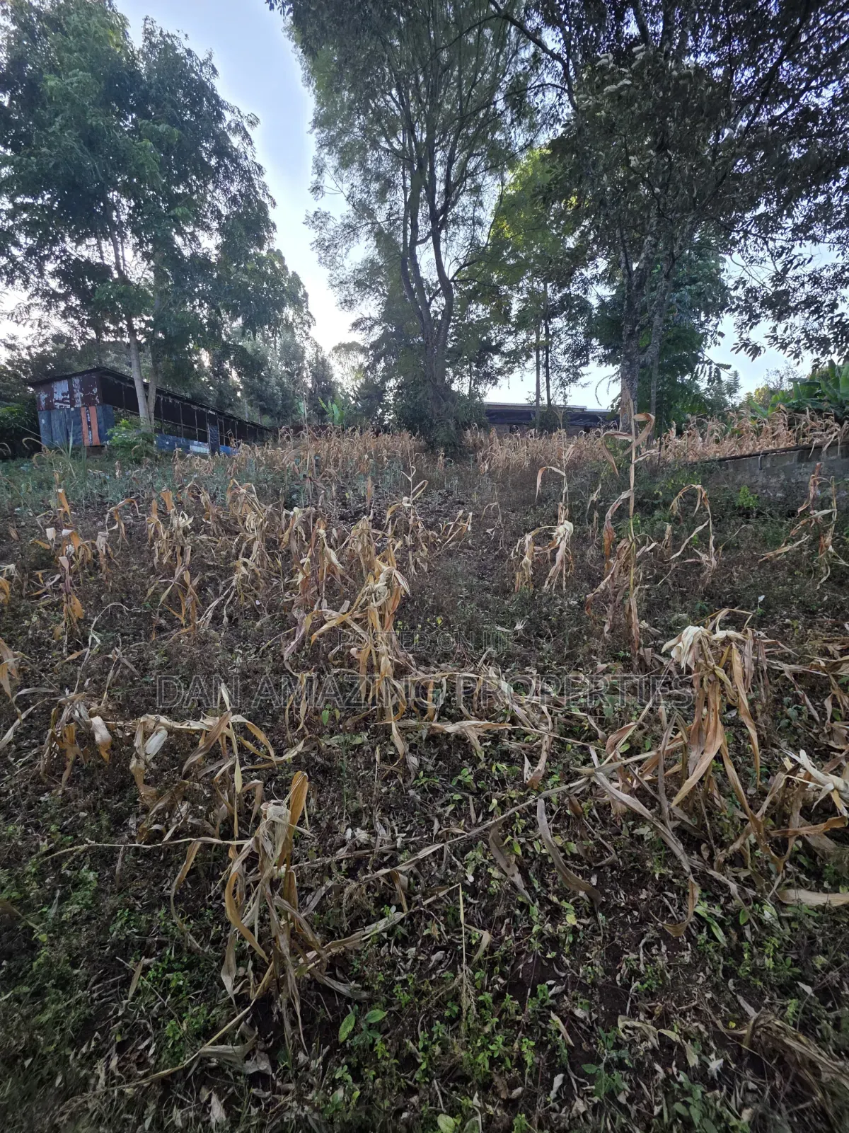 1 Acre Plot in Ngong Olkeri for Sale in Ol Keri