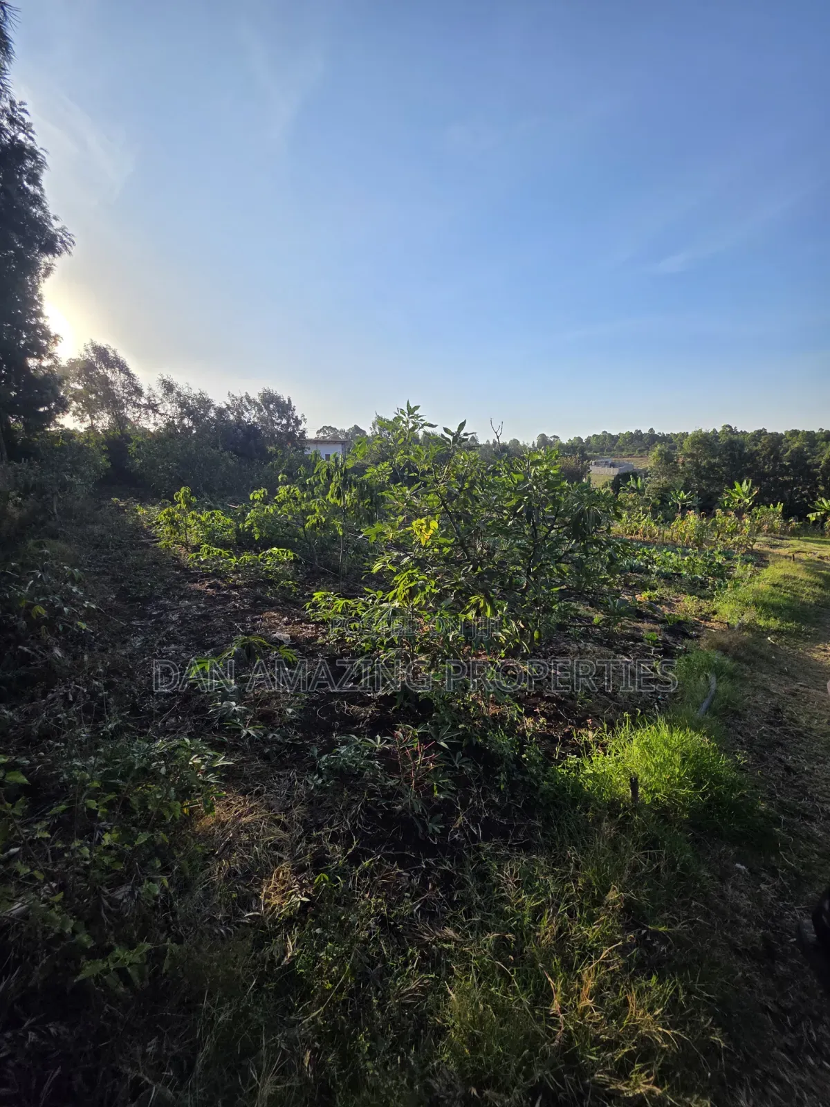 2 Acres Ngong Olkeri With Two Borehole for Sale as Block in Ol Keri