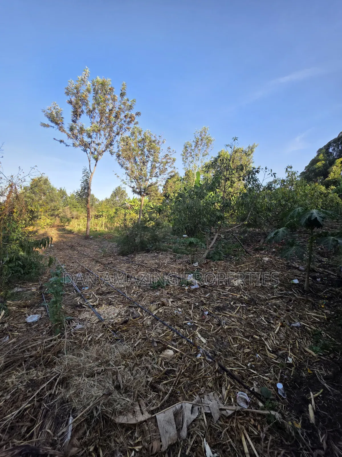 2 Acres Ngong Olkeri With Two Borehole for Sale as Block in Ol Keri